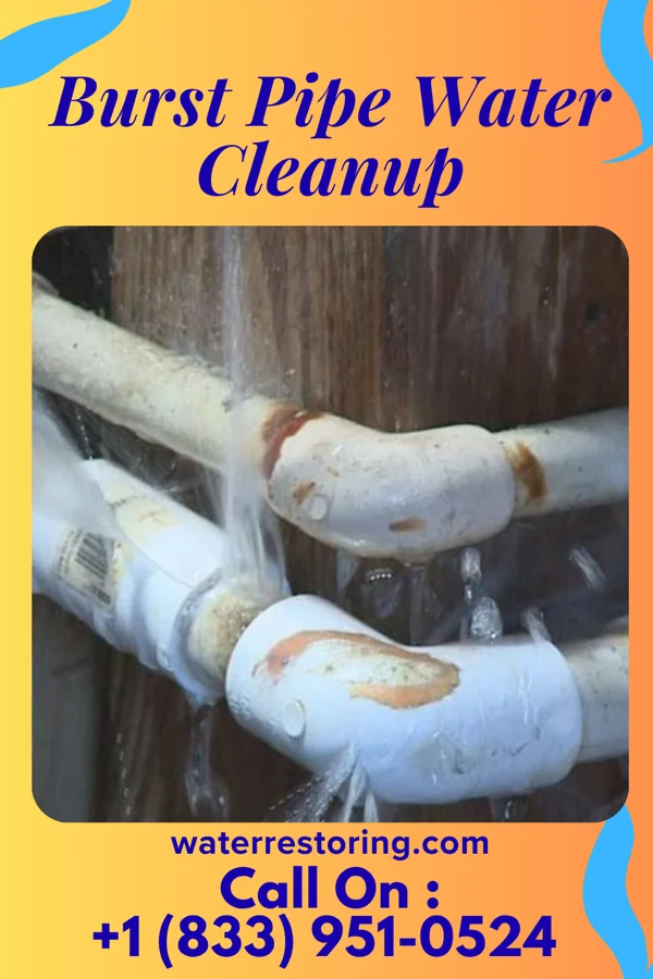 Burst Pipe Water Cleanup in Old Westbury, NY