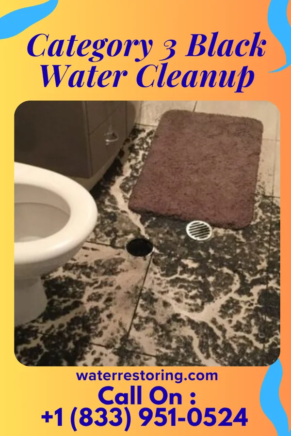 Category 3 Black Water Cleanup in Old Westbury, NY