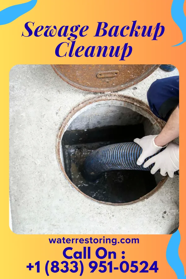 Sewage Backup Cleanup in Old Westbury, NY